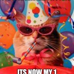 Cat Celebration! | THANK YOU EVERYBODY FOR YOUR LOVE AND SUPPORT!! ITS NOW MY 1 YEAR ANNIVERSARY!!! | image tagged in cat celebration,love and friendship,support,1 year,celebration | made w/ Imgflip meme maker