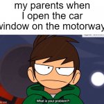 bgrt34e2rfegvbffbrt34 | my parents when I open the car window on the motorway: | image tagged in what is your problem | made w/ Imgflip meme maker
