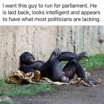 Political Ape