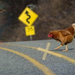 father son and holy ghost chicken crossing road