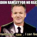 Its raw | GORDON RAMSEY FOR NO REASON | image tagged in something's raw i can feel it | made w/ Imgflip meme maker