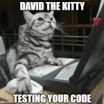 Catto Testing your code | DAVID THE KITTY; TESTING YOUR CODE | image tagged in coding cat,memes,programming,funny memes,cats | made w/ Imgflip meme maker