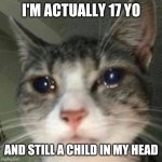 Crying Cat | I'M ACTUALLY 17 YO; AND STILL A CHILD IN MY HEAD | image tagged in crying cat | made w/ Imgflip meme maker