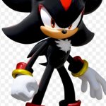 I'm laughing so hard on the floor | WOW SO FUNNY; HILARIOUS JOKE, BRO | image tagged in shadow the hedgehog,not funny,funny not funny | made w/ Imgflip meme maker