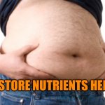 Belly | I STORE NUTRIENTS HERE | image tagged in belly | made w/ Imgflip meme maker