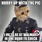 Grammar Nazi Cat | YOU'D BEST HURRY UP WITH THE PIC; I HV TO BE AT WALMART IN ONE HOUR TO CHECK FOR DOUBLE VACCINATIONS | image tagged in grammar nazi cat | made w/ Imgflip meme maker