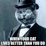 Life of ease | WHEN YOUR CAT LIVES BETTER THAN YOU DO | image tagged in top cat | made w/ Imgflip meme maker