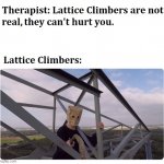 Lattice Climber | image tagged in lattice climber | made w/ Imgflip meme maker