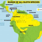 Range of all sloth species