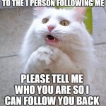 please! | TO THE 1 PERSON FOLLOWING ME PLEASE TELL ME WHO YOU ARE SO I CAN FOLLOW YOU BACK | image tagged in begging cat | made w/ Imgflip meme maker