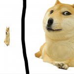 Small doge fat doge template