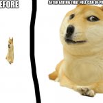 Eessersswssdeessd | AFTER EATING THAT FULL CAN OF PRINGLES; BEFORE | image tagged in small doge fat doge | made w/ Imgflip meme maker
