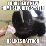Baby skunk | I ORDERED A NEW HOME SECURITY SYSTEM; HE LIKES CATFOOD | image tagged in baby skunk | made w/ Imgflip meme maker