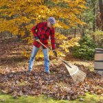 Just Keep Raking