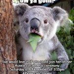 Australian Koala Surprise WTF | G'day Mate
'ow ya goin? Sue would love it if you could join her at her
Aussie citizenship ceremony
Saturday 6th November at 3.15pm
Albany civic rooms
RSVP   21-10-2021    0424899886
Afternoon Tea Provided | image tagged in australian koala surprise wtf | made w/ Imgflip meme maker
