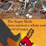 damn bro anger level 1000 | image tagged in the angry birds have entered a whole new level of anger | made w/ Imgflip meme maker