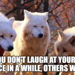 The Three Wolves | IF YOU DON'T LAUGH AT YOURSELF ONCE IN A WHILE, OTHERS WILL. | image tagged in the three wolves | made w/ Imgflip meme maker
