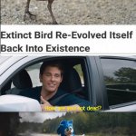 Now that's revival | image tagged in sonic how are you not dead,memes,funny,funny memes,extinction,magic | made w/ Imgflip meme maker