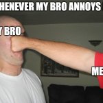 i have a younger bro, so i can do whatever i want lol | WHENEVER MY BRO ANNOYS ME MY BRO ME | image tagged in face punch | made w/ Imgflip meme maker