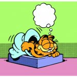 garfieldBed