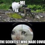 Covid kills | ME; THE SCIENTIST WHO MADE COVID | image tagged in sniper cat | made w/ Imgflip meme maker