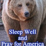 bear | Good Night My Friends; Sleep Well
 and 
Pray for America | image tagged in bear | made w/ Imgflip meme maker