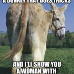 Watch as it makes the salami disappear! | YOU SHOW ME A WOMAN WITH A DONKEY THAT DOES TRICKS; AND I'LL SHOW YOU
A WOMAN WITH 
A WELL TRAINED ASS | image tagged in donkey ass | made w/ Imgflip meme maker