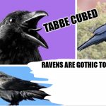 my raven temp ha