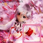 Shiromi meme