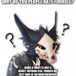 I'm curious | QUICK QUESTION:
WHY DO YOU PEOPLE HATE FURRIES? BEING A FURRY IS JUST A HOBBY, NOTHING ELSE. FURRIES ARE JUST FANS OF ANTHROPOMORPHIC ANIMALS WHICH ARE ANIMALS WITH HUMAN CHARACTERISTICS.
HOW'S THAT BAD? | image tagged in wingedwolf94 wtf,furry | made w/ Imgflip meme maker