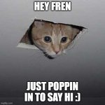 vibe check! | HEY FREN JUST POPPIN IN TO SAY HI :) | image tagged in memes,ceiling cat | made w/ Imgflip meme maker