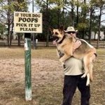 Pet poo cleanup