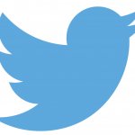 Twitter Bird