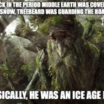 Ice Age Ent | BACK IN THE PERIOD MIDDLE EARTH WAS COVERED WITH SNOW, TREEBEARD WAS GUARDING THE BOARDER. BASICALLY, HE WAS AN ICE AGE ENT. | image tagged in ents lord of the rings,ice age,ice agent,pun,treebeard | made w/ Imgflip meme maker