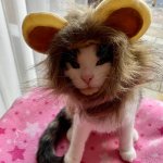cat trying to be a lion template