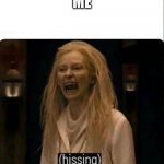 Me | ME | image tagged in hissing | made w/ Imgflip meme maker