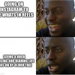 True. | GOING ON INSTAGRAM TO SEE WHATS IN REELS; SEEING A DUCK DANCING AND HEARING LIFE GOES ON BY OLIVER TREE | image tagged in black man smiling and shocked | made w/ Imgflip meme maker