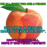 Peach | WE ALL KNOW YOU ARE A PEACH! BUT LIVING IN GEORGIA MAKES IT  EXTRA"PEACHY". HAPPY BIRTHDAY, JILL.  HOPE IT WAS PEACH PERFECT! | image tagged in peach | made w/ Imgflip meme maker