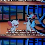 Are You Pondering What I'm Pondering | Pinky, are you pondering what I'm pondering? I think so, Bwain, but if Mary had a little lamb who's fleece was as white as snow, wouldn't it be hard to find when it's snowing? Maybe I should study how your looney mind works instead. | image tagged in are you pondering what i'm pondering | made w/ Imgflip meme maker