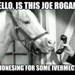 MISTER ED JONESING | HELLO, IS THIS JOE ROGAN? I'M JONESING FOR SOME IVERMECTIN! | image tagged in mister ed on phone,funny memes | made w/ Imgflip meme maker