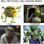 Choose your fighter | ONE WILL PROTECT YOU, THE REST WILL TRY TO KILL YOU, CHOOSE WISELY; SHREZOWSKI; WREK; YULK; HODA | image tagged in choose one to protect you and the rest will try to kill you,shrek,mike wazowski,yoda,crossover,hulk | made w/ Imgflip meme maker