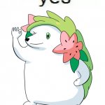 shamin haha yes
