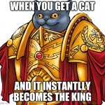 Kitten the Captain General | WHEN YOU GET A CAT; AND IT INSTANTLLY BECOMES THE KING | image tagged in kitten the captain general | made w/ Imgflip meme maker