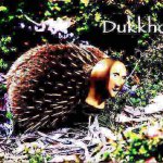 Meme man echidna deep-fried