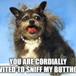 Ugly Dog | YOU ARE CORDIALLY INVITED TO SNIFF MY BUTTHOLE | image tagged in ugly dog | made w/ Imgflip meme maker