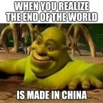 shrek | WHEN YOU REALIZE THE END OF THE WORLD; IS MADE IN CHINA | image tagged in shrek | made w/ Imgflip meme maker