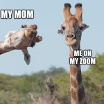 My camera is on.... | MY MOM; ME ON MY ZOOM | image tagged in my camera is on | made w/ Imgflip meme maker
