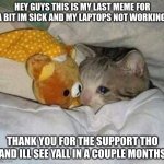 Crying cat | HEY GUYS THIS IS MY LAST MEME FOR A BIT IM SICK AND MY LAPTOPS NOT WORKING. THANK YOU FOR THE SUPPORT THO AND ILL SEE YALL IN A COUPLE MONTHS | image tagged in crying cat | made w/ Imgflip meme maker