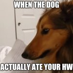 Doggo eating hw | WHEN THE DOG; ACTUALLY ATE YOUR HW | image tagged in hw dog,dog | made w/ Imgflip meme maker