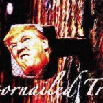 Doornailed Trump deep-fried 2 meme